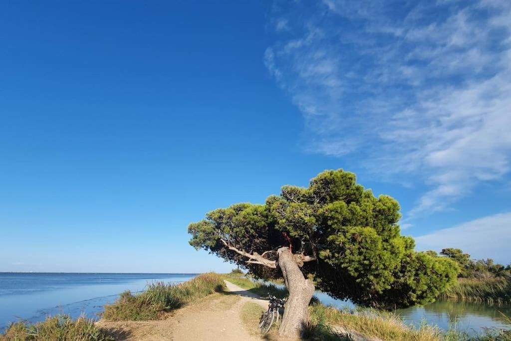 T2 Cosy A La Plage, Terrasse Vue Sur Mer Et Parking Privatif Narbona Exterior foto